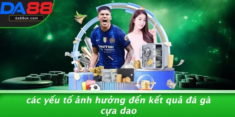 Đá Gà Cựa Dao: Kỹ Năng Tối Ưu Cho Chiến Thắng Đỉnh Cao 5 Các Yếu Tố Ảnh Hưởng Đến Kết Quả Đá Gà Cựa Dao