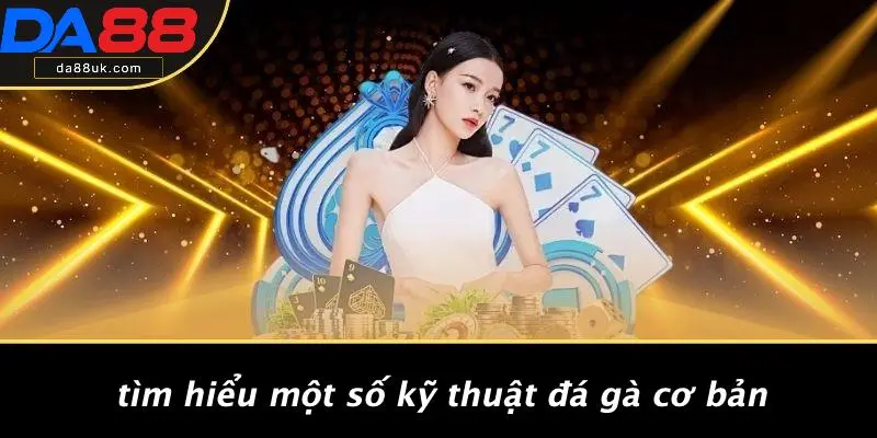 Đá Gà Trực Tiếp: Thưởng Thức Trận Đấu Gay Cấn Tại DA88 5 Tìm Hiểu Một Số Kỹ Thuật Đá Gà Cơ Bản